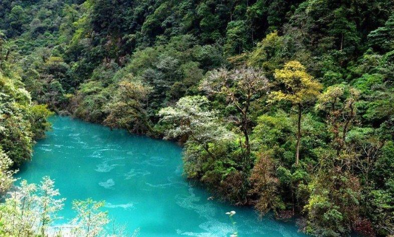 逃离水虎鱼湖