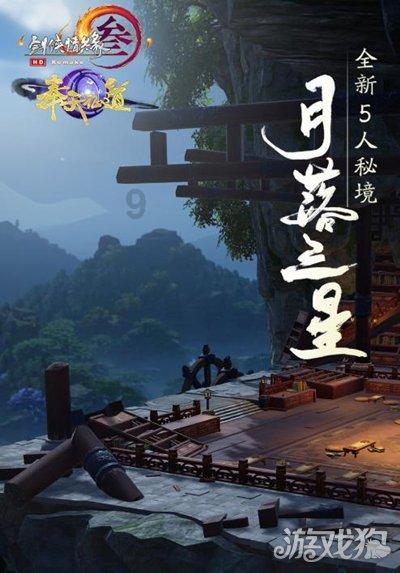 可爱小猫向上跳