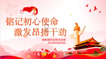 美图秀秀下载2023最新版