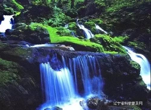 谁是公主