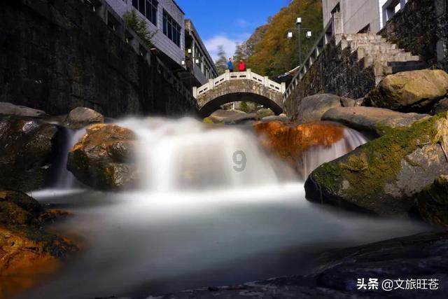 动物帮帮忙保卫家园