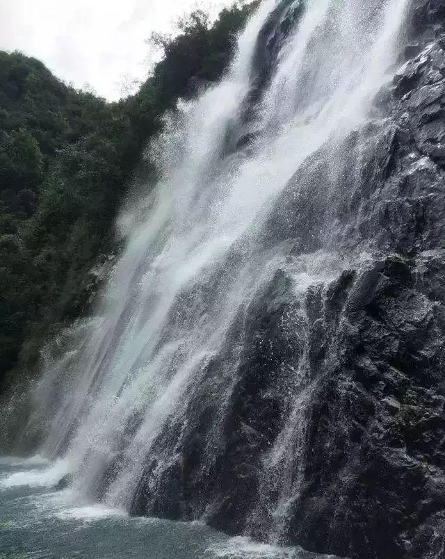 未转变者