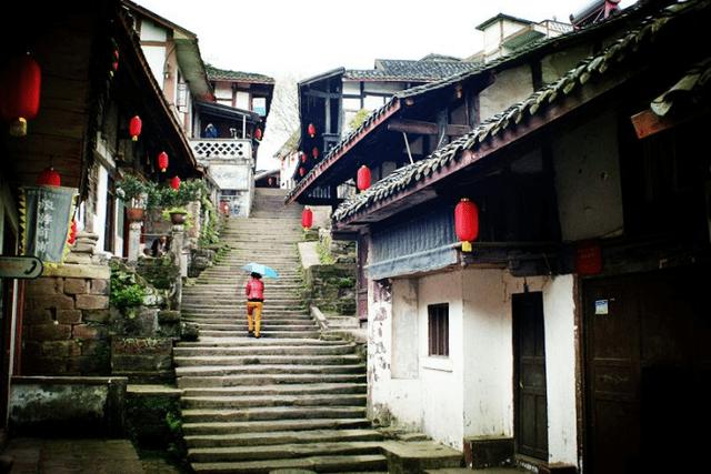 细胞分裂4
